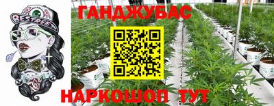 стафф Будённовск