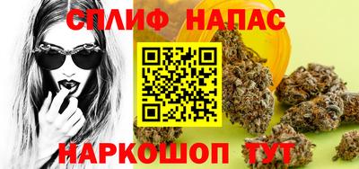 стафф Будённовск