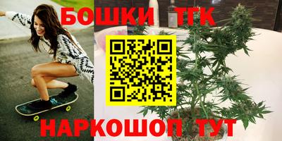 стафф Будённовск