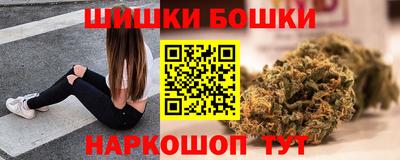 стафф Будённовск
