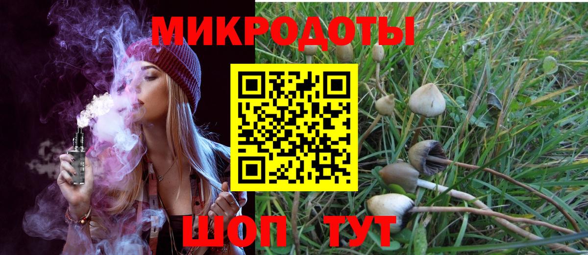 Галлюциногенные грибы GOLDEN TEACHER Кудрово