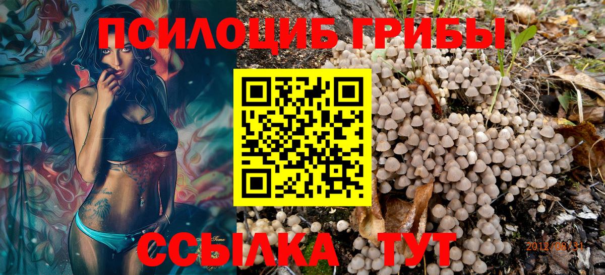 продажа наркотиков  Псилоцибиновые грибы Psilocybine cubensis  Вход с VPN  Кудрово  Галлюциногенные грибы MAGIC MUSHROOMS 