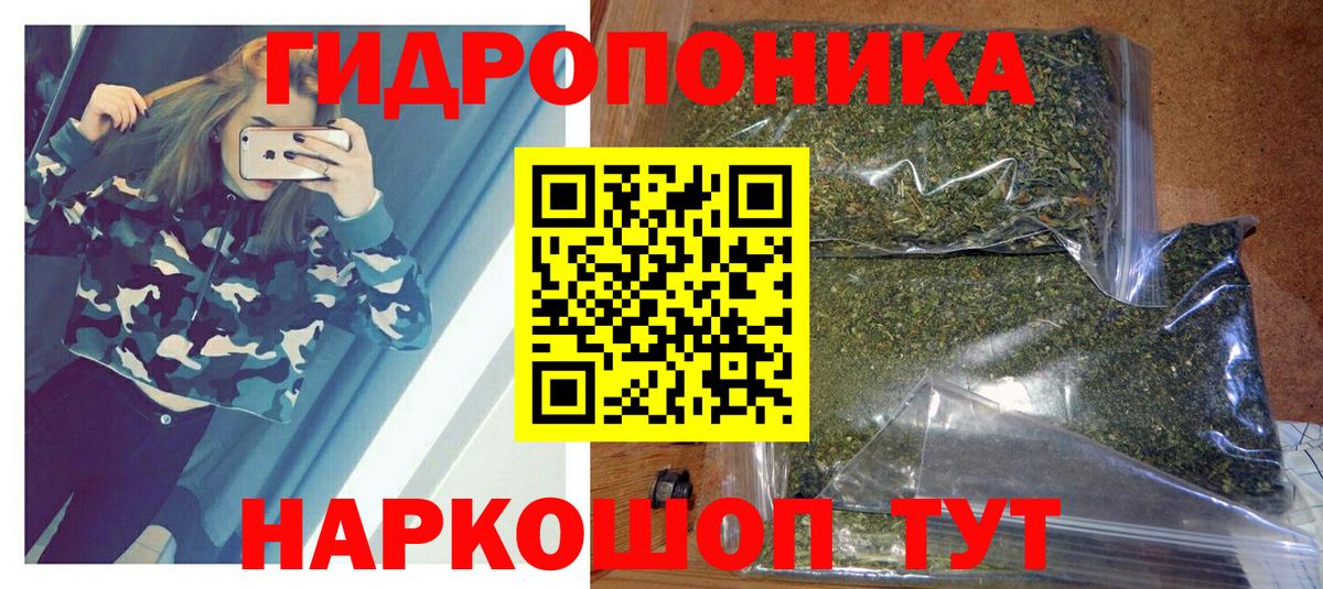 Шишки марихуана план  Бошки марихуана конопля  Марихуана сатива  Вход с VPN  Кудрово  Шишки марихуана планчик 